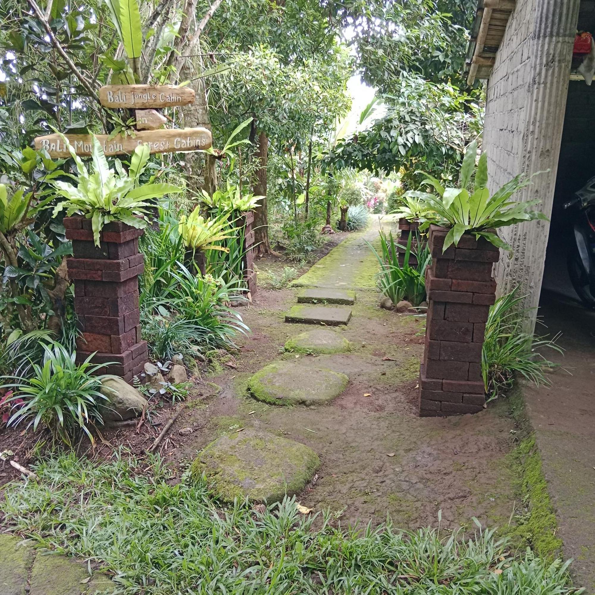 Bali Mountain Forest Cabin Penebel Zimmer foto